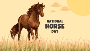 National Help A Horse Day