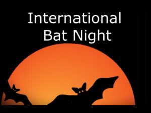 International Bat Night