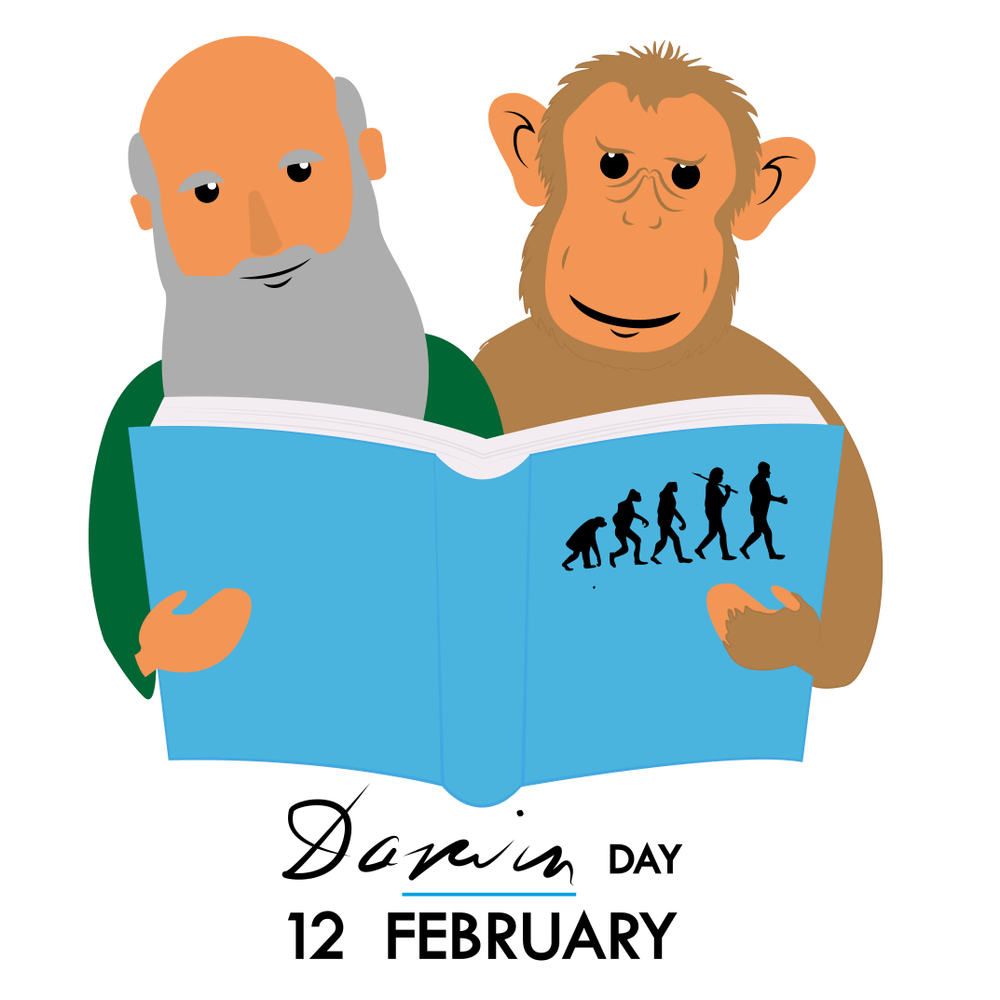 darwin and monkey reading book about evolution