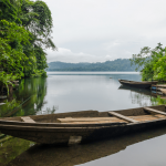 raditional wooden fisher boat anchored at Barombi Mbo crater lake in Cameroon, Africa