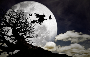 Walpurgis Night,witch with her cat and crow flying on a broomstick across a full moon at twilight for Halloween