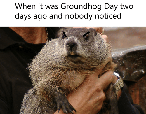 Happy Groundhog Day meme