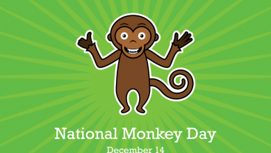 Photo of Monkey Day