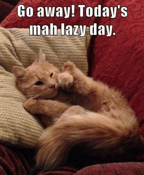 Lazy Day Meme