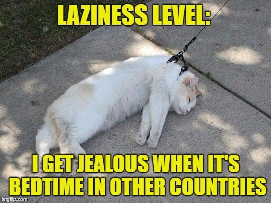 Lazy Day Meme