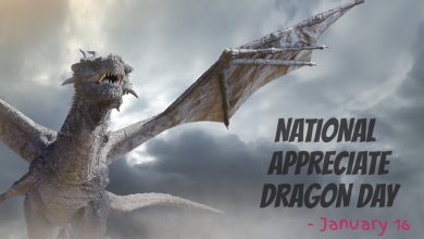 Photo of Appreciate a Dragon Day