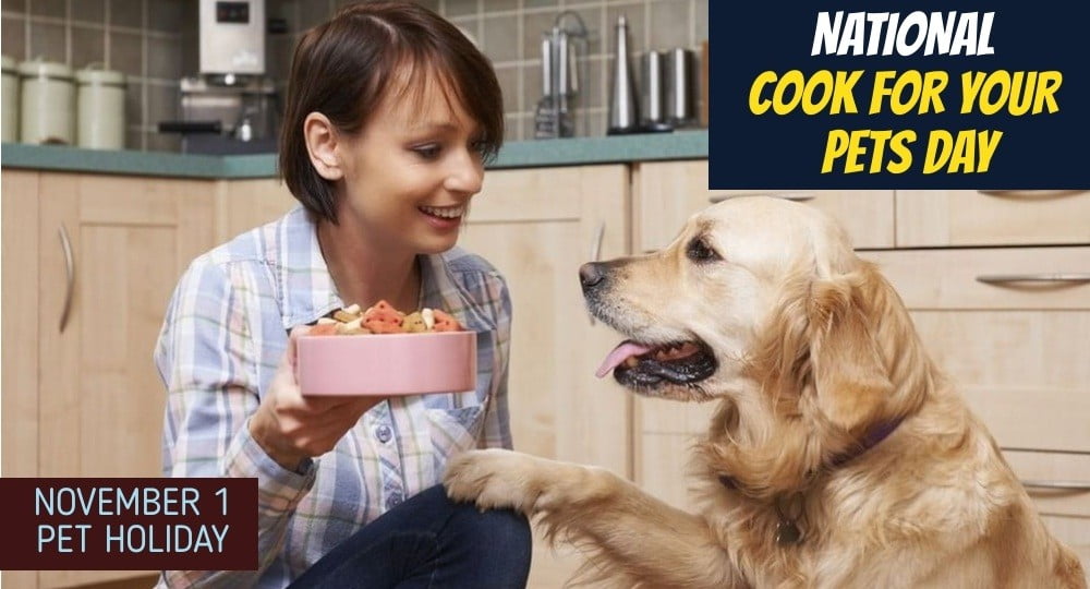 Go Cook For Your Pet Day on November 1 1