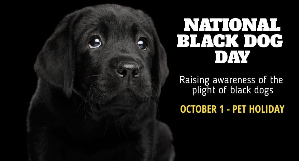 National Black Dog Day is on October 1