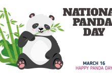 Photo of National Panda Day