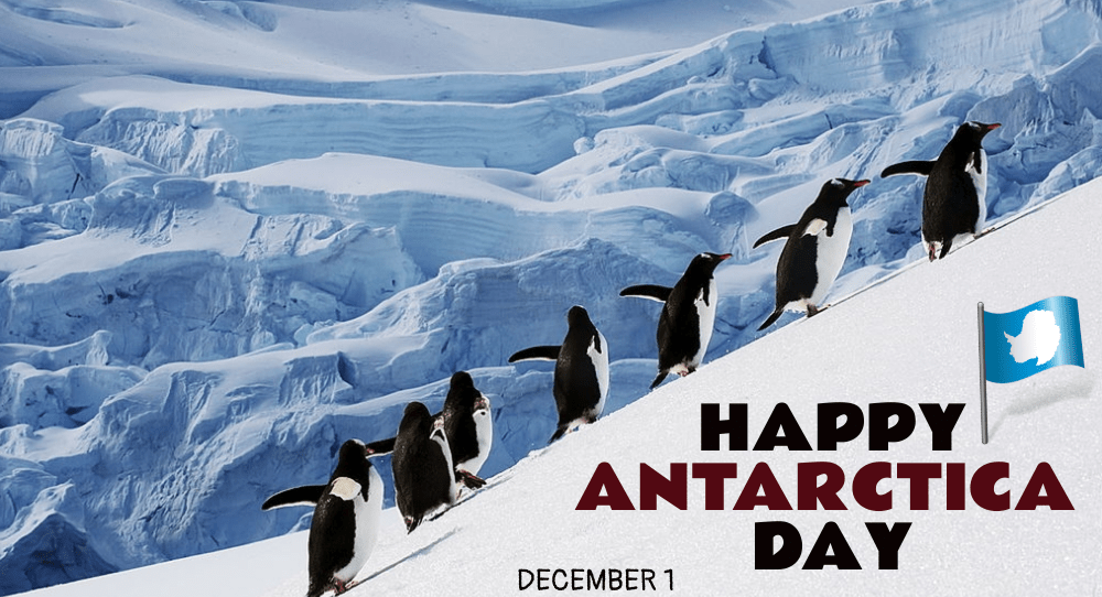 Celebrating World Antarctica Day on December 1