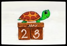 Photo of World Turtle Day