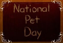 Photo of National Love Your Pet Day