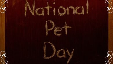 Photo of National Love Your Pet Day