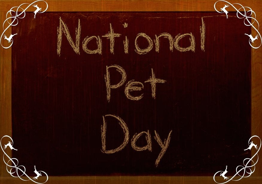 national pet day