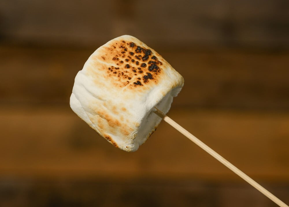 National Toasted MarshMallow Day