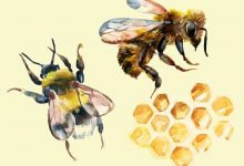 Photo of National Honey Bee Day