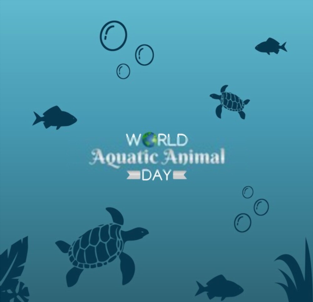 World Aquatic Animal Day Celebrating And Protecting Our Marine Life