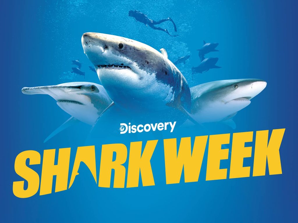 Shark Week A Deep Dive Into The Fascinating World Of Sharks
