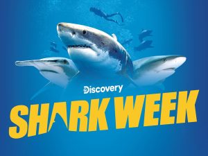 Discover the history, importance, and impact of Shark Week, the annual television event that celebrates the amazing world of sharks. Learn about popular programming, the science of sharks, conservation efforts, and more. Dive deep into the world of sharks with this informative and engaging article."